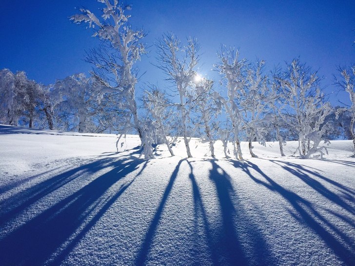 Foto: Andreas Ericson.