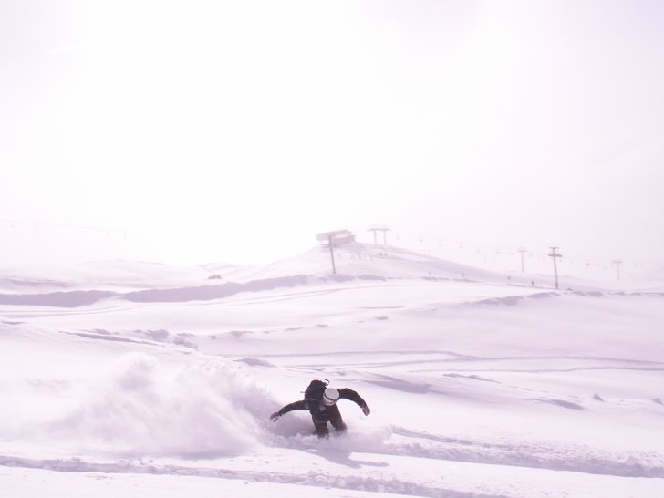 Foto: Niklas Backlund. Åkare: Mattias Fredrikson.