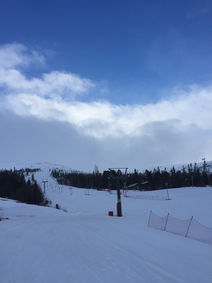 DET BLIR GREIT TIL HELGA
Noen snøbyger i dag, gl�.