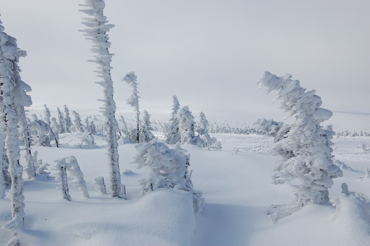 Foto: Linnéa Johansson.