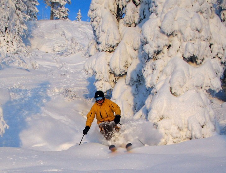 Brorsan åker lössnö en riktigt bra dag i Kåbda. Foto: Stefan Vikberg. Åkare: Jan Vikberg.
