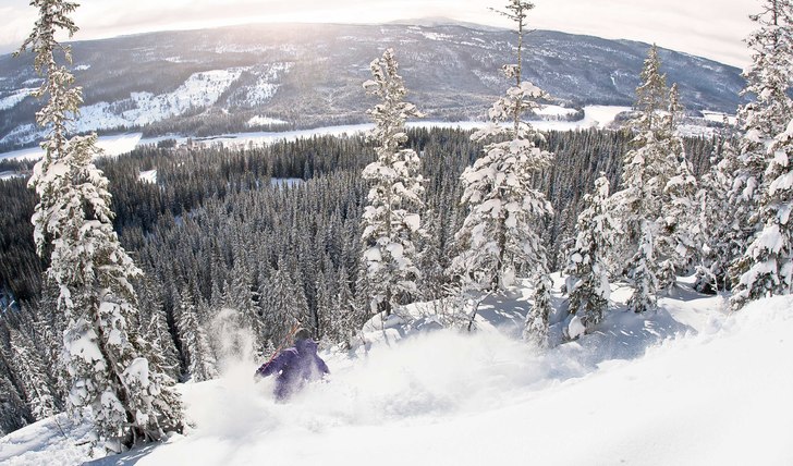 Jag och Freddie drog till Tege en sjukt nice och s. Foto: Niclas Magnusson. Åkare: Freddie Grann.
