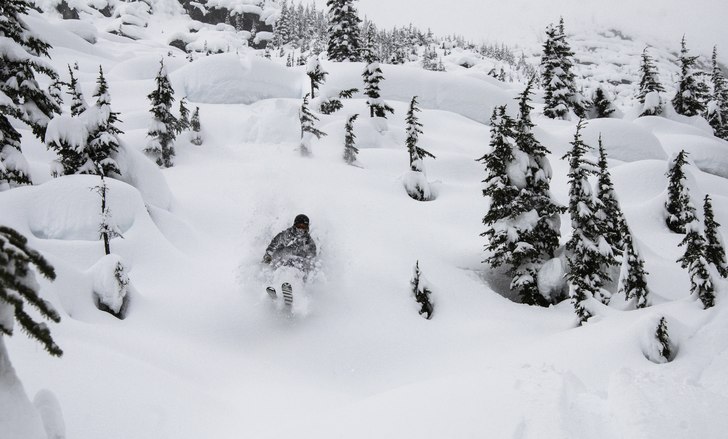 Mushroom People. Foto: Oskar Wagrelius. Åkare: Jacob Heyle.