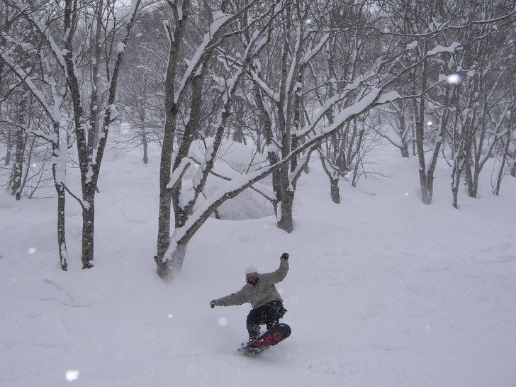 laps in the trees all day. luck enough to have one. Foto: Brian Kopish. Åkare: Brian Wolfe.