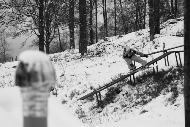 Foto: Tolle. Åkare: Dennis Lind.