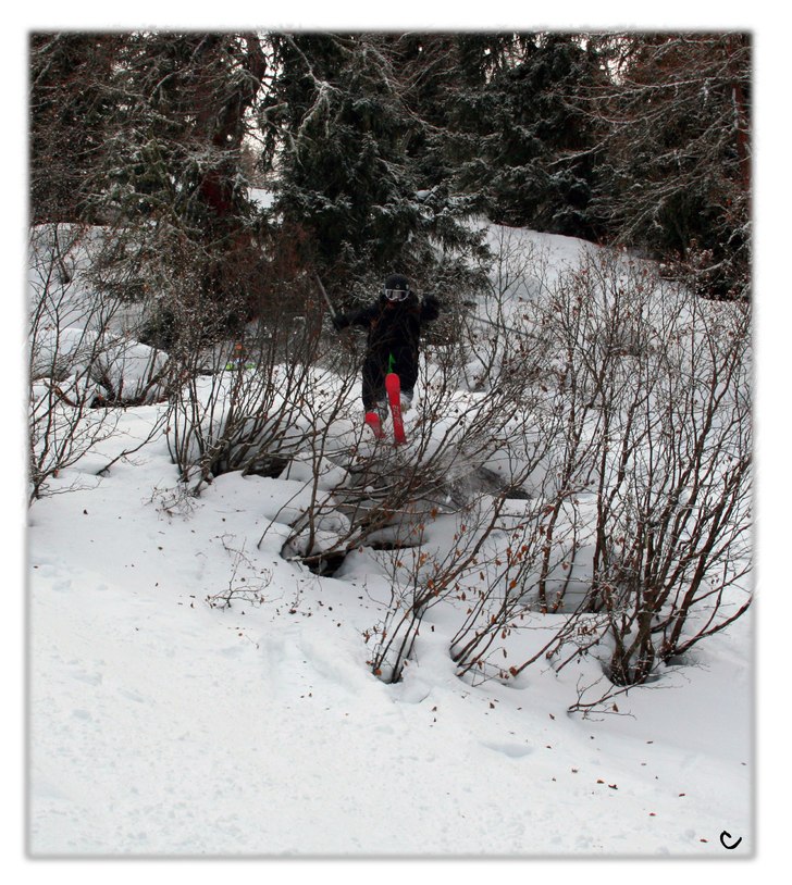 steeek. Foto: Christian Linderholm. Åkare: gian.