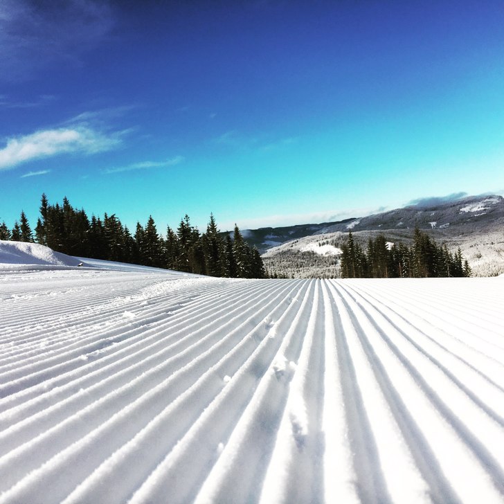 Kongeføre!
Tenk at vi får slikt et vær i vinter.