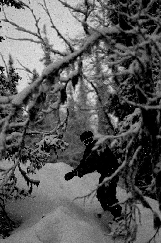 Foto: Timmy Kristoffersson. Åkare: Jenny Larsson.