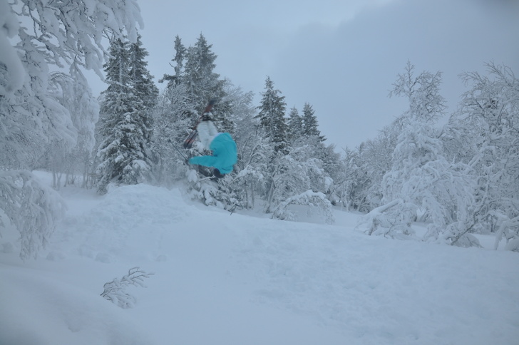 Foto: Arvid Sandberg. Åkare: David Inglander.