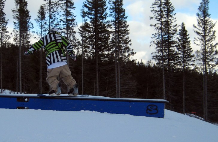 front board på en box i parken. Foto: pappa. Åkare: jag.