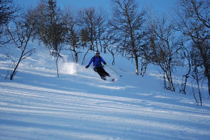 Foto: Johan Sköld. Åkare: Sofia Sköld.