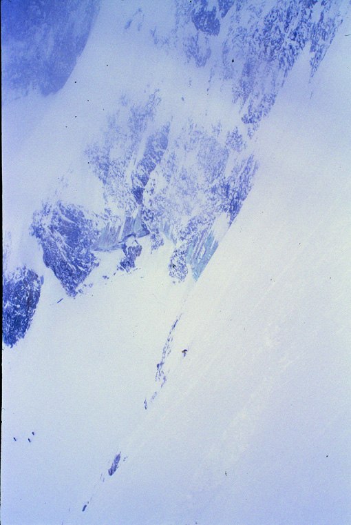 lining up for a shot. Foto: drew bin son. Åkare: nickO.