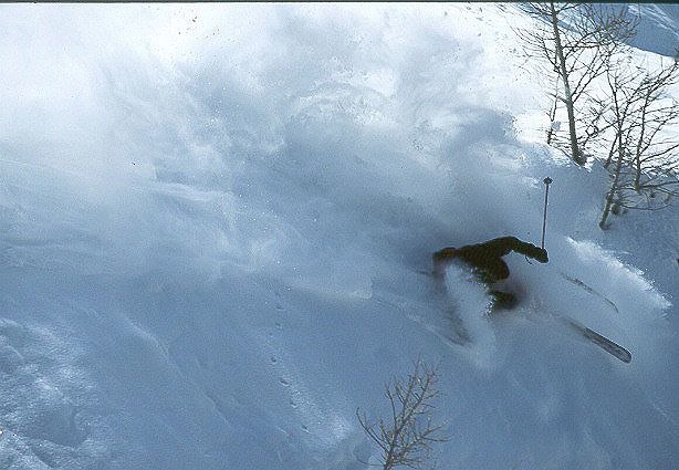 Foto: Myriam Lang Hadik. Åkare: Scott Hammond.