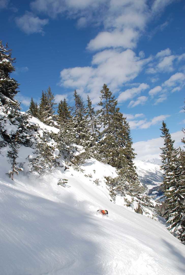 Foto: Alexander Palm. Åkare: krille.