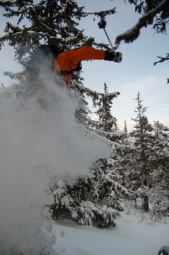 I skogen finns det mkt roligt att utforska, här �. Foto: Anders Frisk. Åkare: Daniel Andreou.