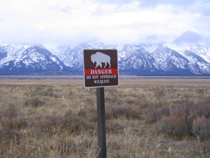 Jackson Hole innan en dump.  Var ute med polarna o.