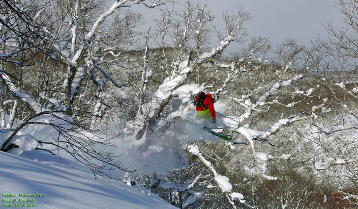 Treeskiing....under enda dagen med sol......annars. Foto: Henrik Lijeqvist. Åkare: Robert Hortlund.