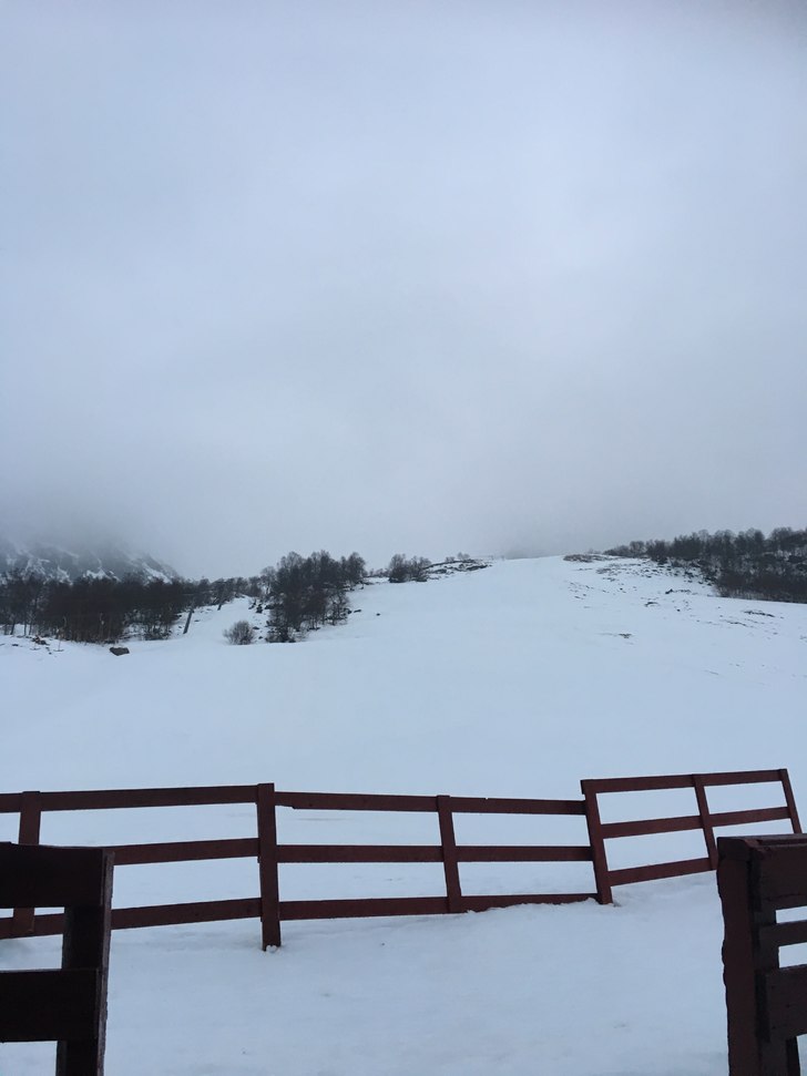 Fredag 30/12
Vindstille, ca. 3 grader og litt yr i.