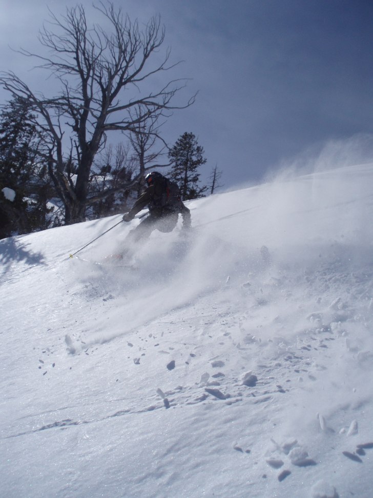 Foto: Jakob Wallin. Åkare: Niclas Lundberg.