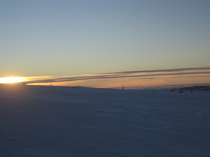 Kortet taget uppe på Högfjällets topp en kort d. Foto: Anton. Åkare: ett par träd.