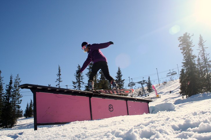 Foto: Jennie Nilsson. Åkare: Niclas Wiklund.