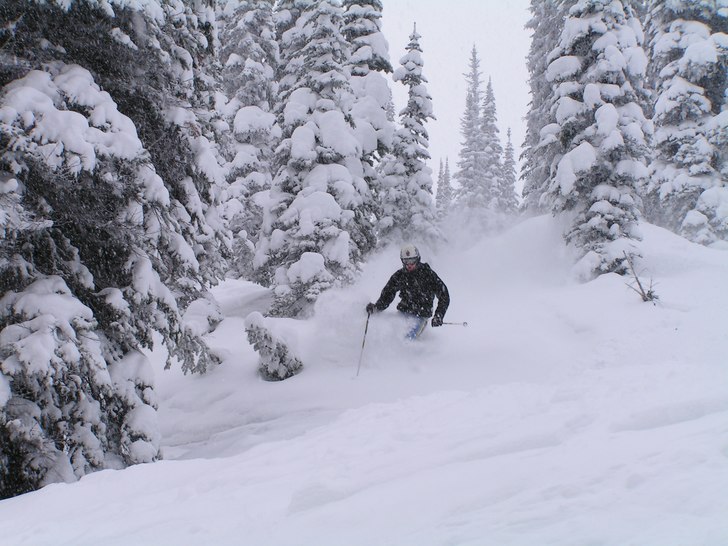 Foto: Daniel Nilsson. Åkare: Jerker Aspgård.