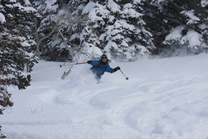 Foto: Niclas Schönfelder. Åkare: Molle Molin.