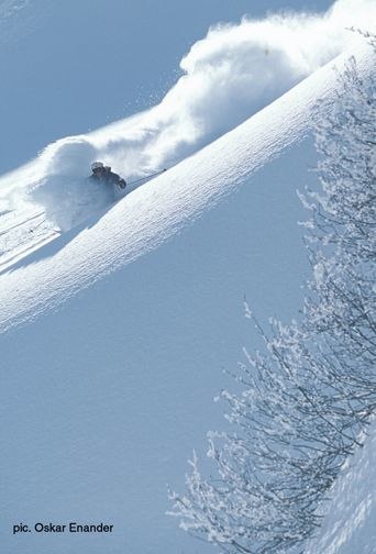 Foto: Oskar Enander. Åkare: Stephan Drake.