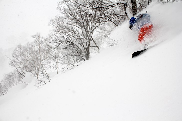 Foto: Christer Hällare. Åkare: Mario Marinkovic.
