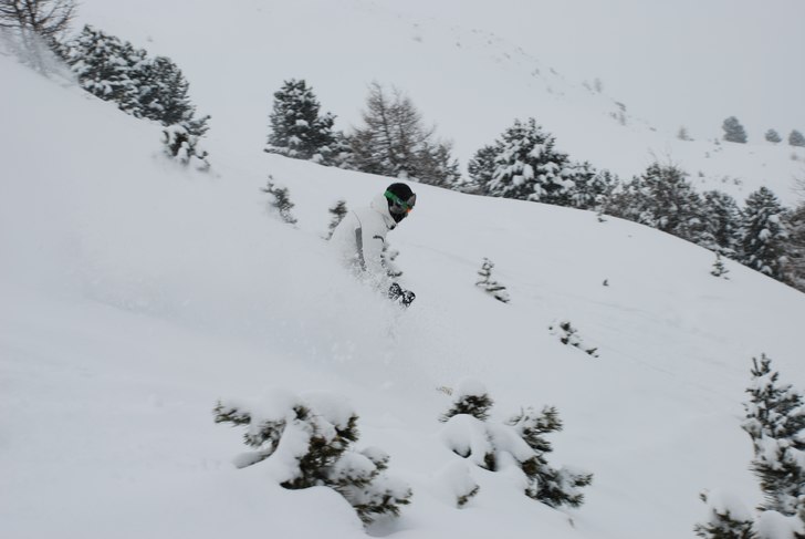 SKön skogsåkning. Foto: Martin Wikström. Åkare: Adam Jonsson.