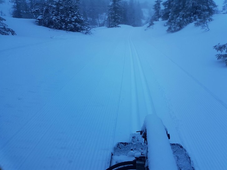Snakk om blåmandag ????????????
Nykjørte løyper.