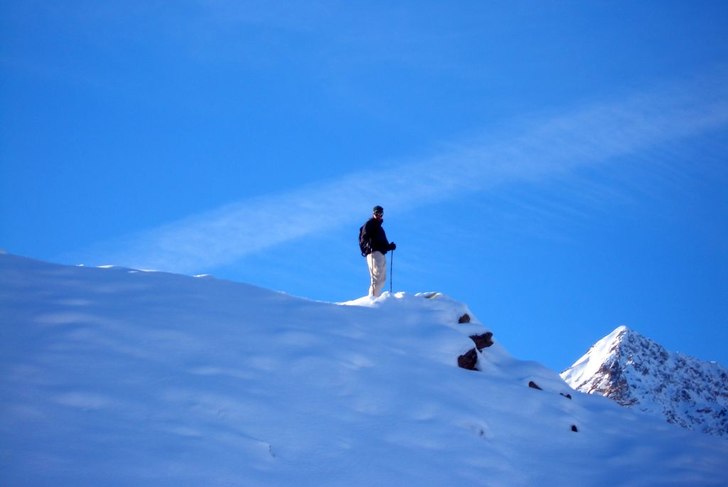 Foto: Niklas Landner. Åkare: Ricco.