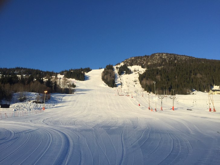 Blir en flott dag.
Fine forhold med frost på natt.