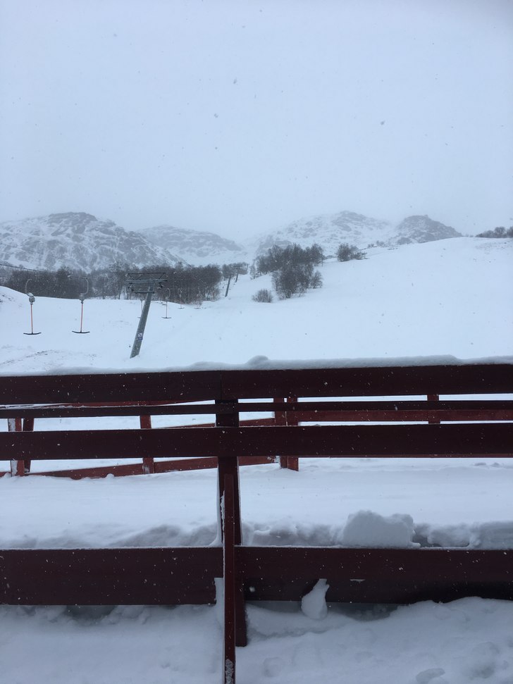 Lørdag 25/2
I dag har vi lett snøfall, noe vind .