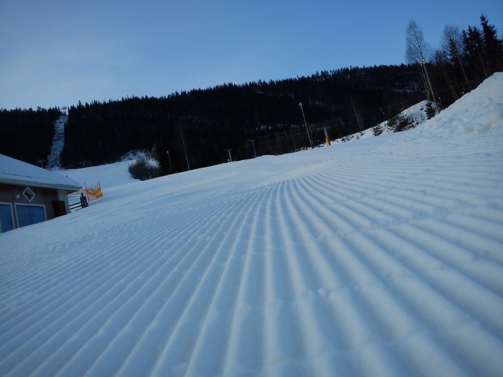 Foto: Linn Östlund.