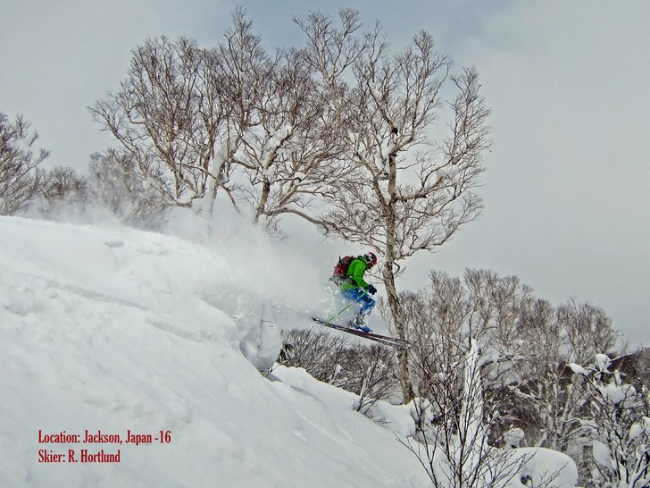 Kuddar i Jackson!....