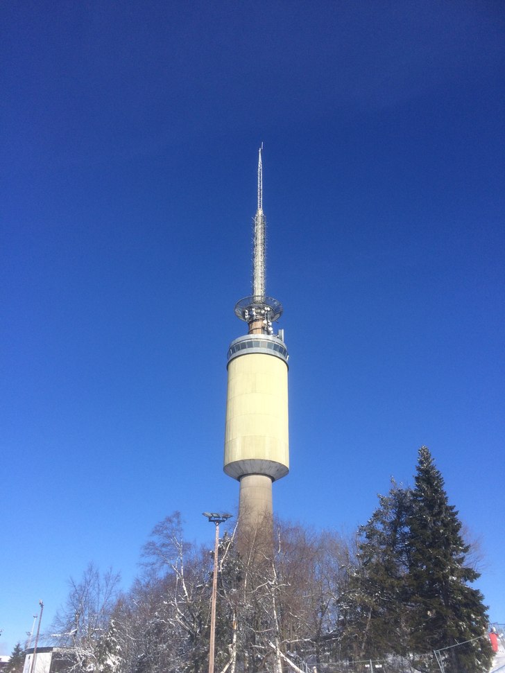 Bluebird på toppen????
.