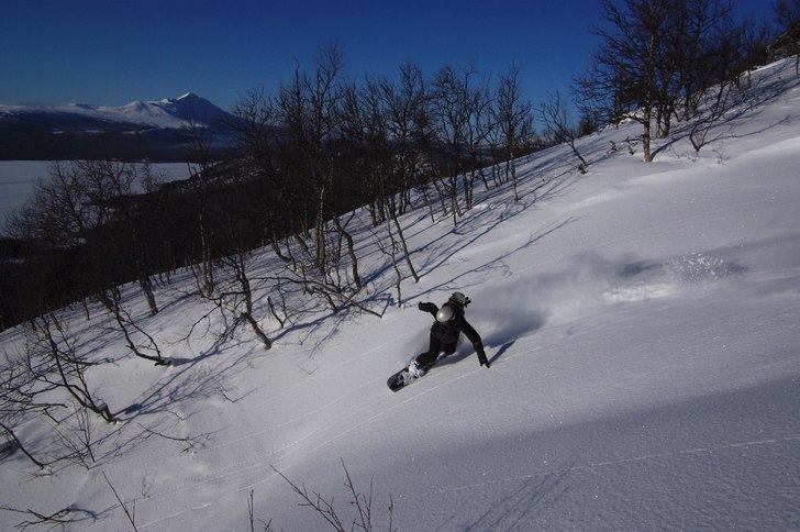 Foto: Daniel Forsberg. Åkare: Björn.
