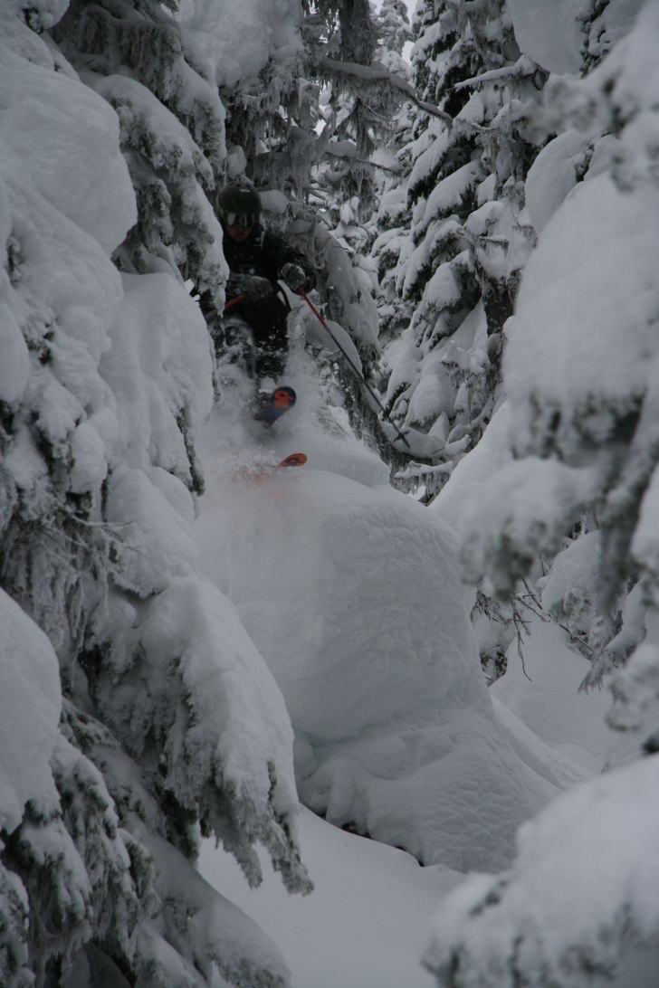 Fin puder i Revelstoke. Foto: Eric Spongberg. Åkare: Clas Ahlstrand.