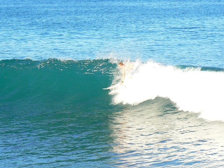 skön höst. Foto: matilda odelsheim. Åkare: pastorn.