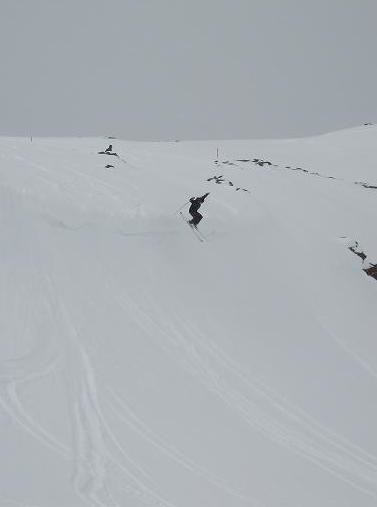 Foto: Linnea. Åkare: Isabelle.