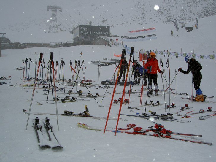 Toksnöar!. Foto: Johan Nylander.