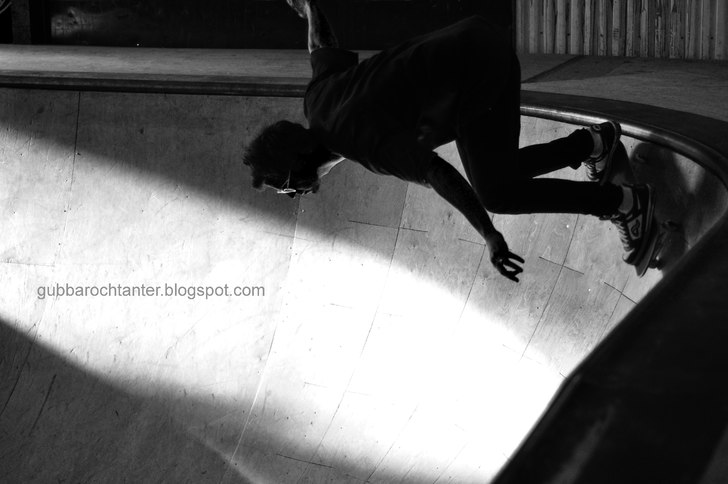 gubbarochtanter.blogspot.com. Foto: Elias Haglund. Åkare: Mats Domargård.