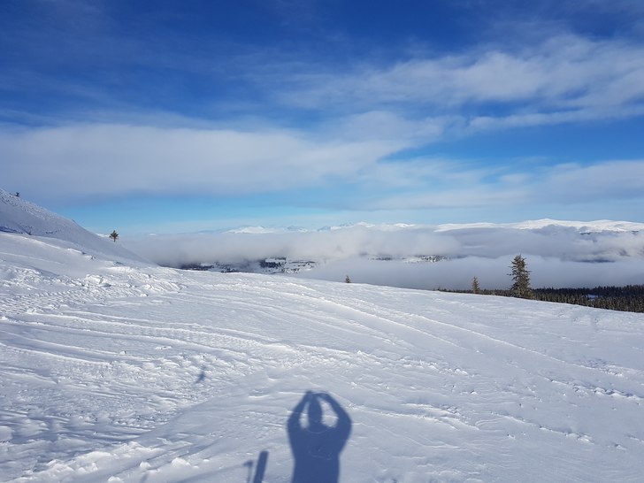 Livet over tåka..
Ubevisst selfie i dag. Utsikt f.
