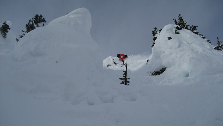Foto: Sara Schützer. Åkare: Christer Hällare.