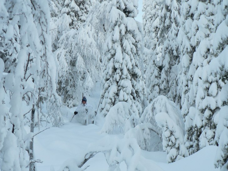 Bakåtvikt :) men de gick bra.... Foto: Mattias Kristensson. Åkare: Michael Ek.