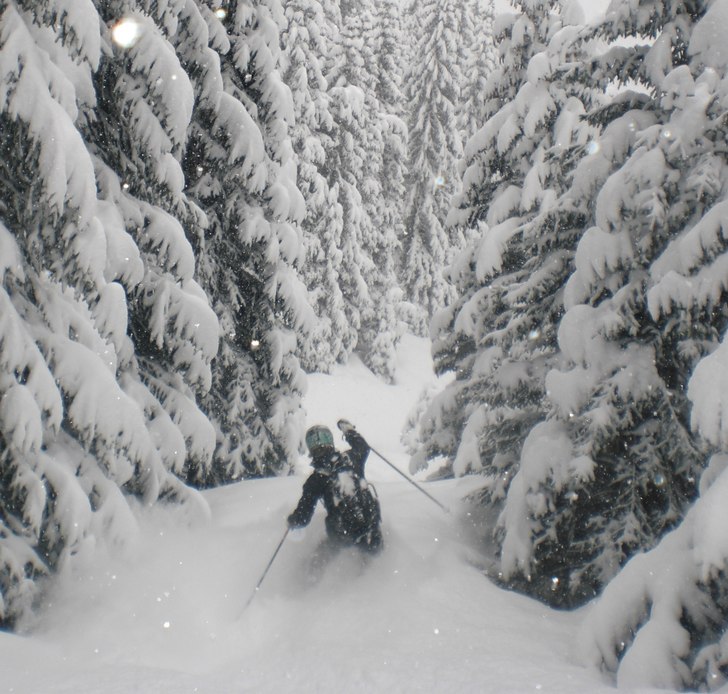 Ett fantastiskt stråk bland granarna på vägen n. Foto: Rickard Zanden. Åkare: Pelle Bävman.