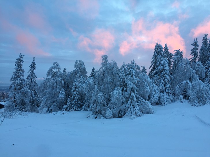 Nydelig morgen på Lifjell
I dag er det knall forh.