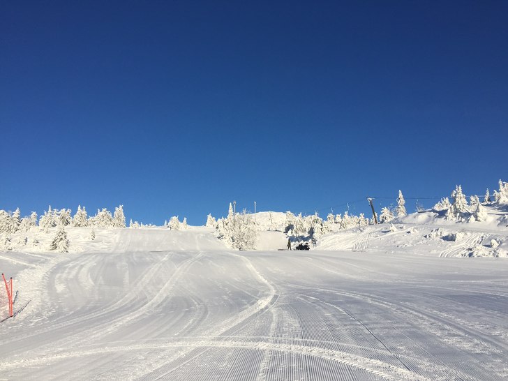 Det blir ikke bedre
Helt fantastisk dag på Lifjel.