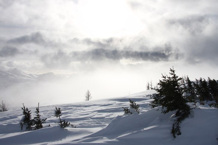 Dimma och moln går ihop med nästan genomträngan. Foto: Kristofer Sellberg.